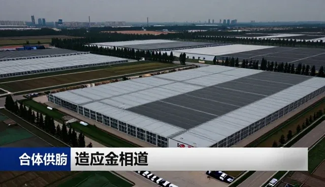 食材供应系统在实际应用中需关注的性能与适用条件