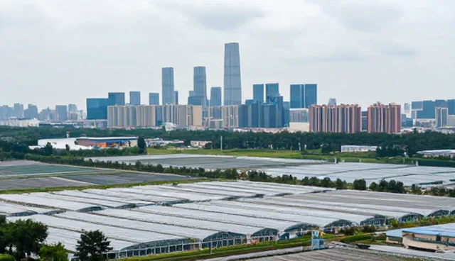 系统兼容：常见问题与处理方法分析