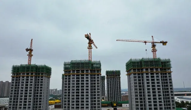 如何选择适合的财税咨询公司实现成本优化？