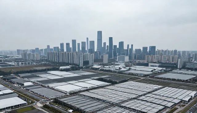 小程序短视频运营：自建团队与外包的取舍对比