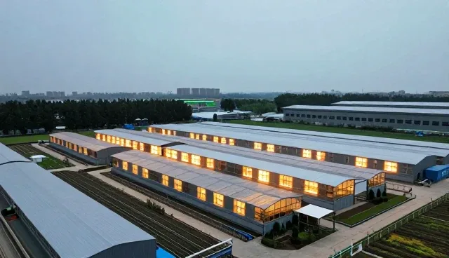 分装工艺对化工产品性能差异的影响分析