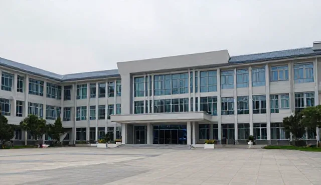 随访服务在患者管理中的实际应用与优化路径