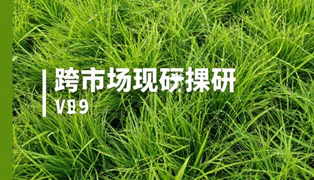 用户需求驱动下的市场调研方法演进