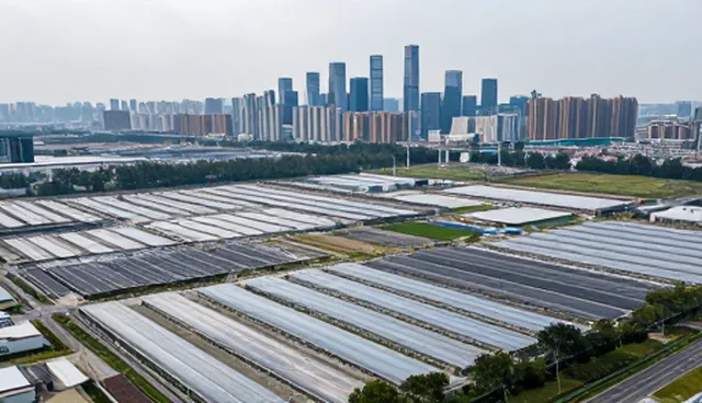 信息不对称：多行业贸易合作中的关键挑战