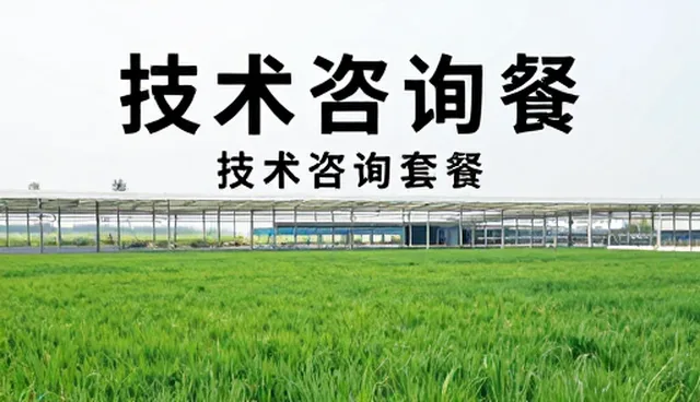 软件研发在工程领域的应用与维护实践