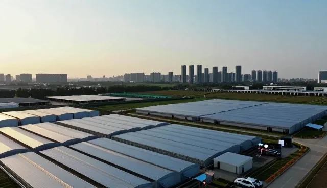 技术兼容性在技术转让中的关键作用与资源分配策略