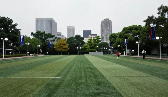 数字化咨询在数据整理分析中的应用场景与维护建议
