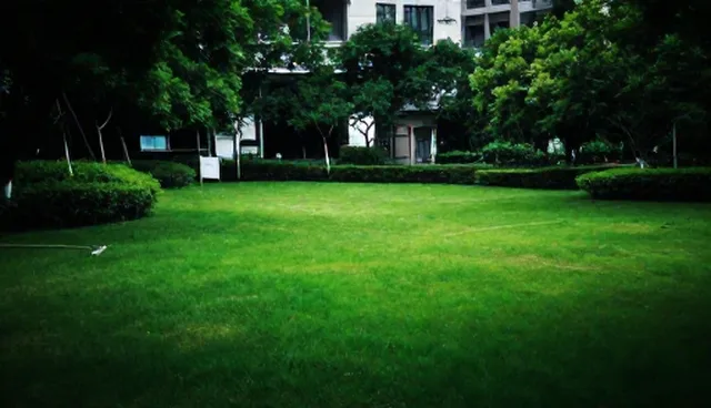 网站维护策略如何适应业务发展趋势
