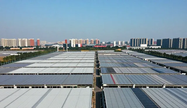 系统维护常见误区澄清与应用场景分析