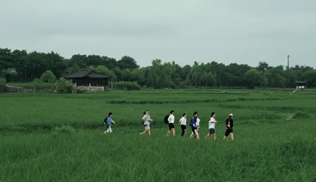 品牌宣传片制作：选型关注点分析