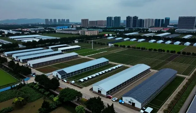 短视频内容裂变在电商运营中的性能边界与适用场景分析