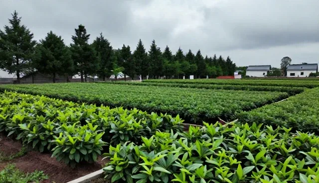 施工流程中材料选型对工程成本的影响