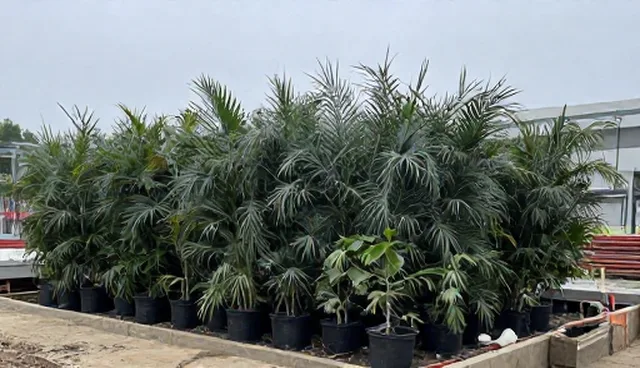 施工现场材料协调的关键考量与实践