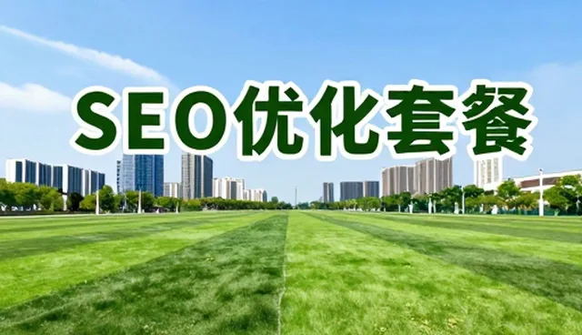 SEO优化服务选型关注点分析与策略建议