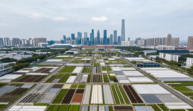 系统维护在应用开发中的性能优化实践