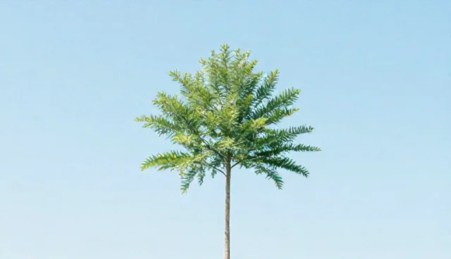如何选择和维护视觉呈现节点可查系统