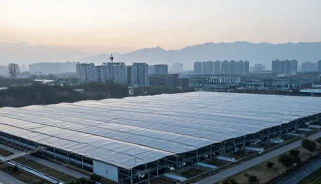 绿化养护选型中的关键考量因素解析