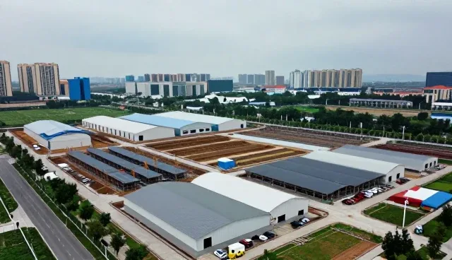 安装调试阶段的选型关注点解析与实际应用