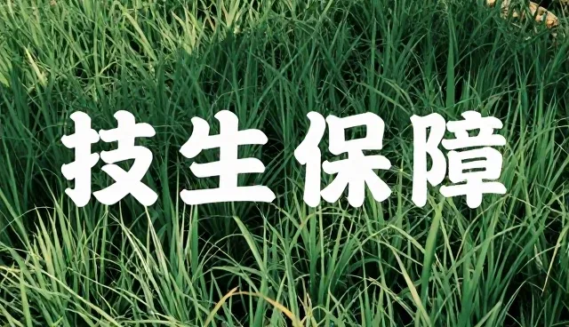 技术外包如何影响企业运维效率提升