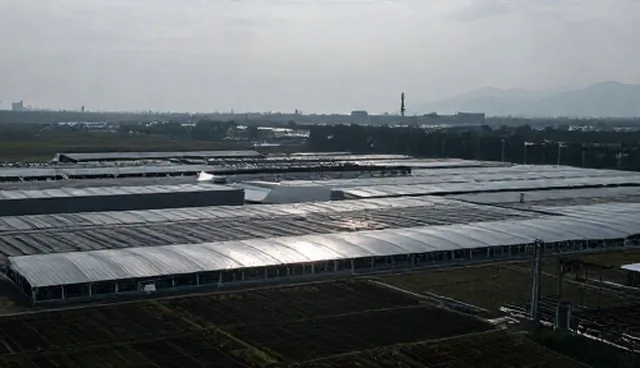 技术选型中的常见误区及处理方向，如何优化技术咨询