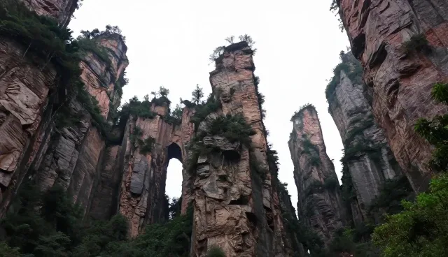 研学旅行中行程安排的优化策略与实施要点