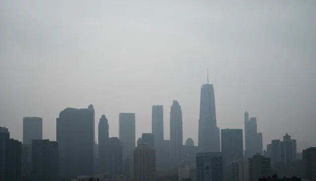 软件使用与维护中的检查要点及建议