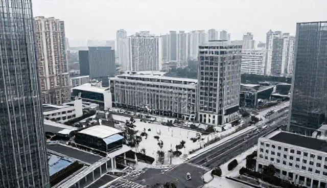 企业需求下的策划项目选择依据与使用建议