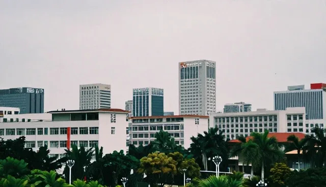 核对清单：企业名录展示的本地化维护要点