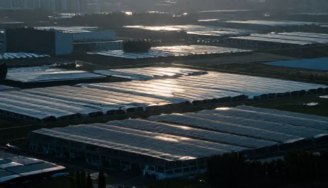 南昌高端网站建设，商机撮合服务如何推动本地市场分析