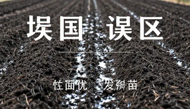 种植成本对比：种苗选择与维护的取舍分析