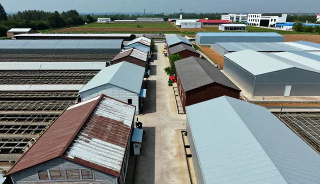 提升系统稳定性：维护建议与技术实践