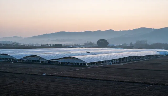 企业信息化方案适用条件与限制分析