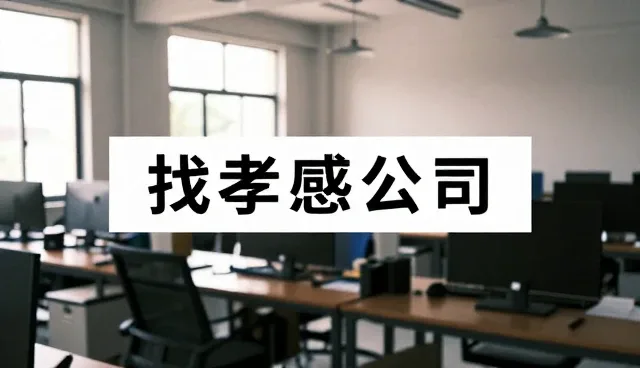 提升效率与准确性的企业名录查询使用技巧