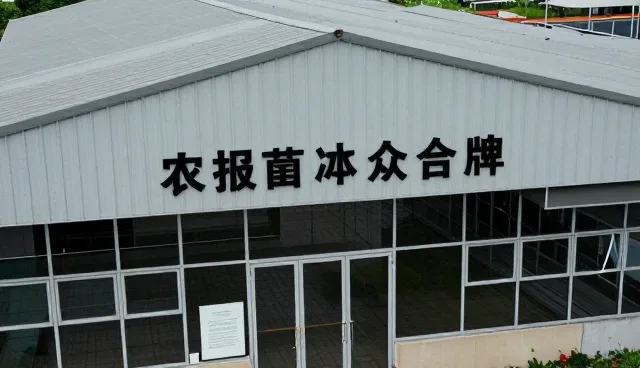 服务外包采购中的廉洁规范实施路径分析