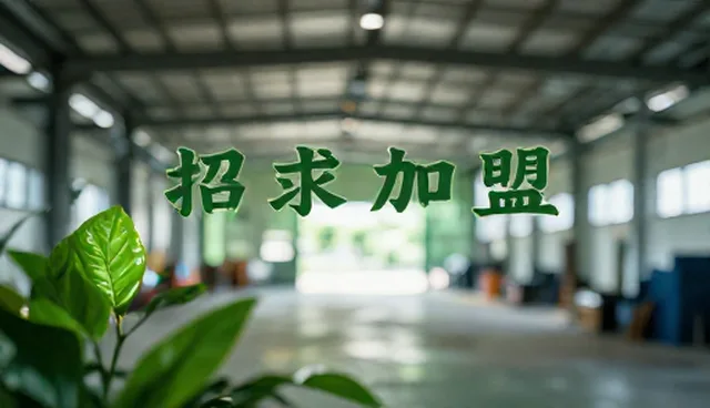营销型高端网站建设，助力招商加盟信息展示升级