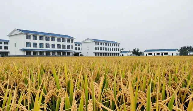 农产品保鲜技术在不同环境下的实际应用分析