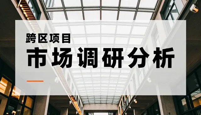 品牌咨询中数据处理的使用场景与问题分析