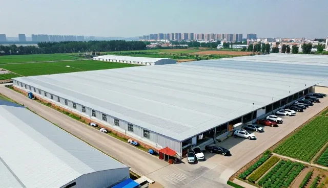商品采购的市场适应性与性能表现分析