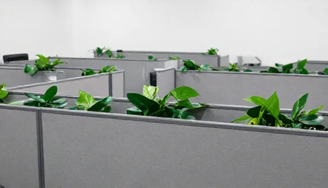 办公空间装修施工规范适用边界分析