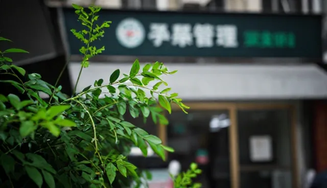 行业预测中的选型关注点与流程优化要点