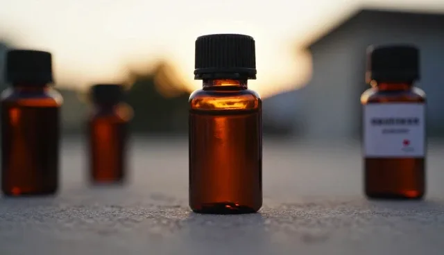 不同种植场景下种苗供应的适配策略分析