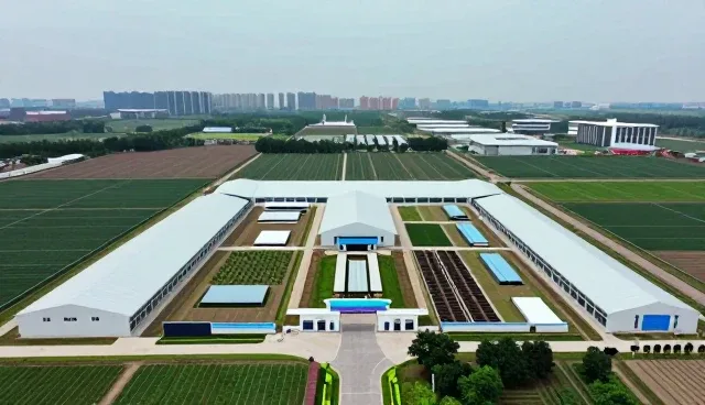 系统部署在不同场景中的实际应用与挑战