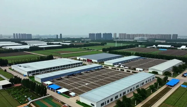 短视频传播服务中常见问题与应对策略