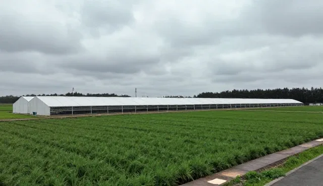 技术更新滞后如何影响滤材性能，如何通过选型解决
