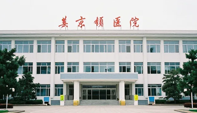 短视频提示词：开发者如何优化分类目录的预训练数据
