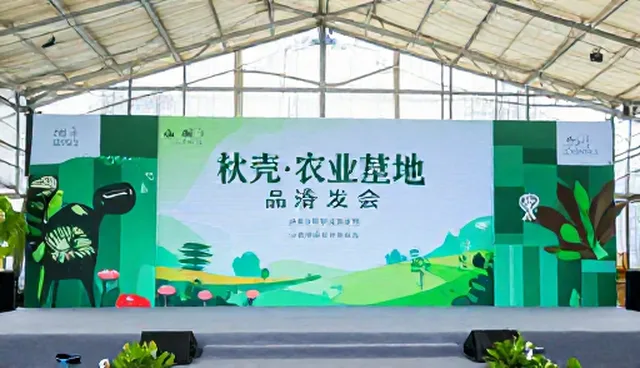 短视频拍摄效率提升的适用条件与选择依据