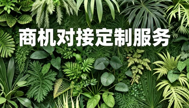提升采购效率的关键策略与维护技巧