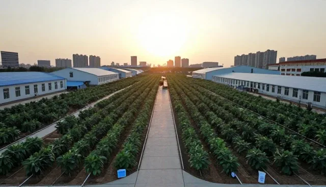 技术转让项目中安装调试环节的选型关注点