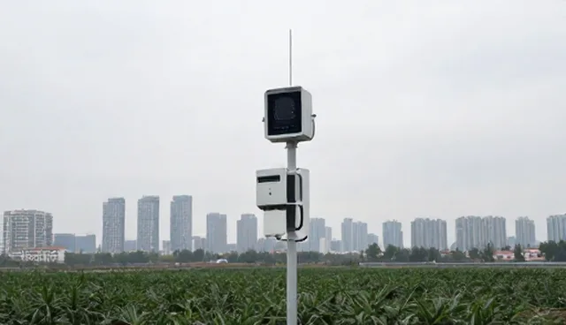 基地合作中技术研发如何影响性能表现？