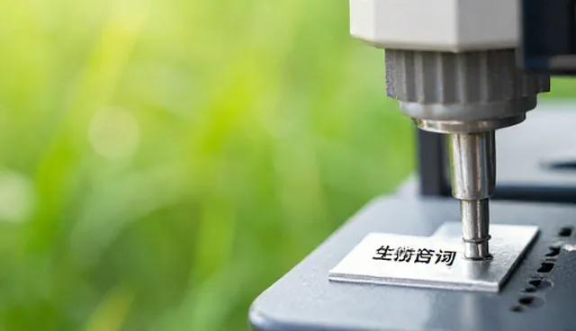 ChatGPT指令大全：如何高效运用免费使用技巧